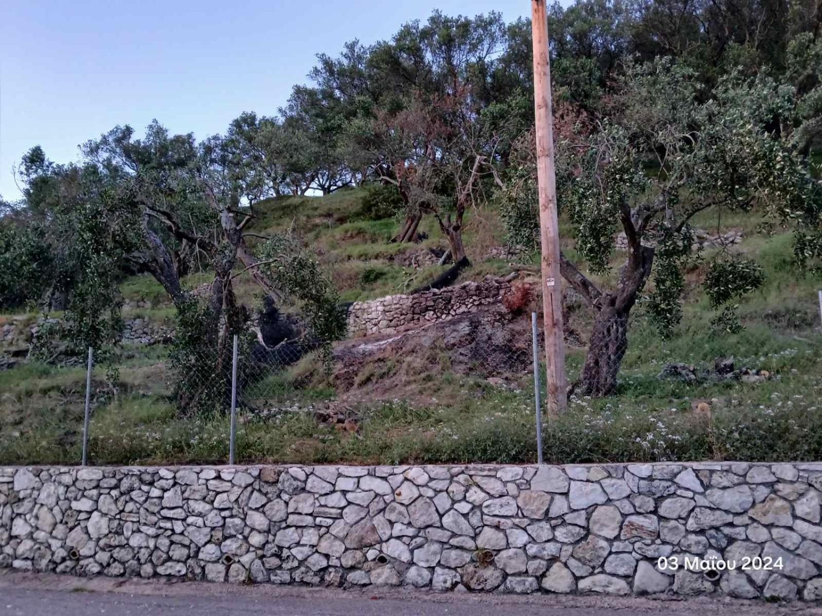 Guest House Christos Sgourades المظهر الخارجي الصورة